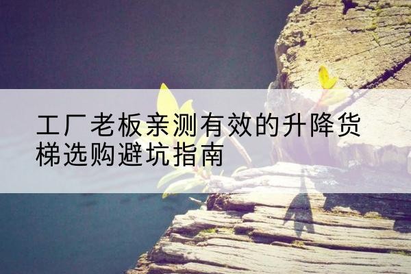 山海关升降货梯怎么选-工厂老板亲测有效的升降货梯选购避坑指南