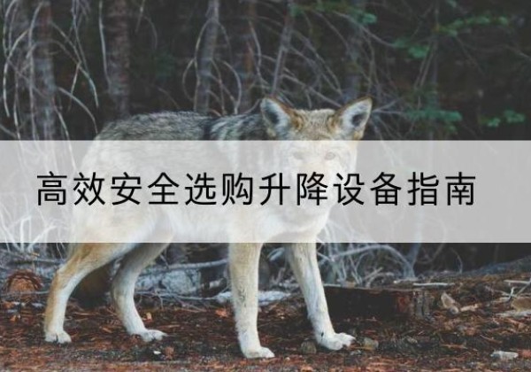 山海关升降货梯厂家推荐-*安全选购升降设备指南