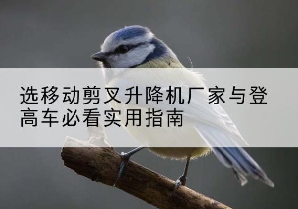 山海关电动升降机厂家-选移动剪叉升降机厂家与登高车必看实用指南
